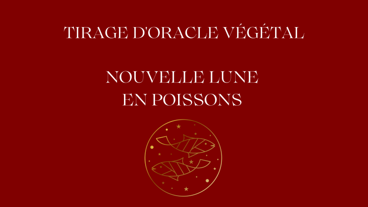 Découvrir les êtres végétaux du tirage d’Oracle Nouvelle Lune en Poissons