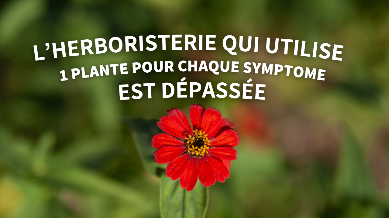 L’herboristerie qui utilise une plante pour chaque symptôme est dépassée 