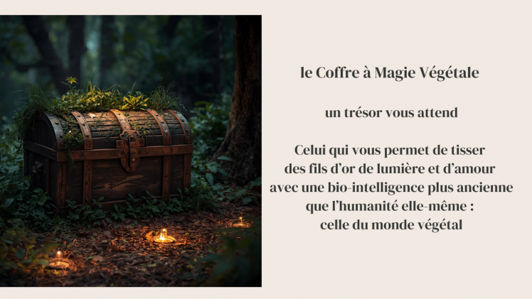 Les plantes vous appellent ? Ouvrez le Coffre à Magie végétale