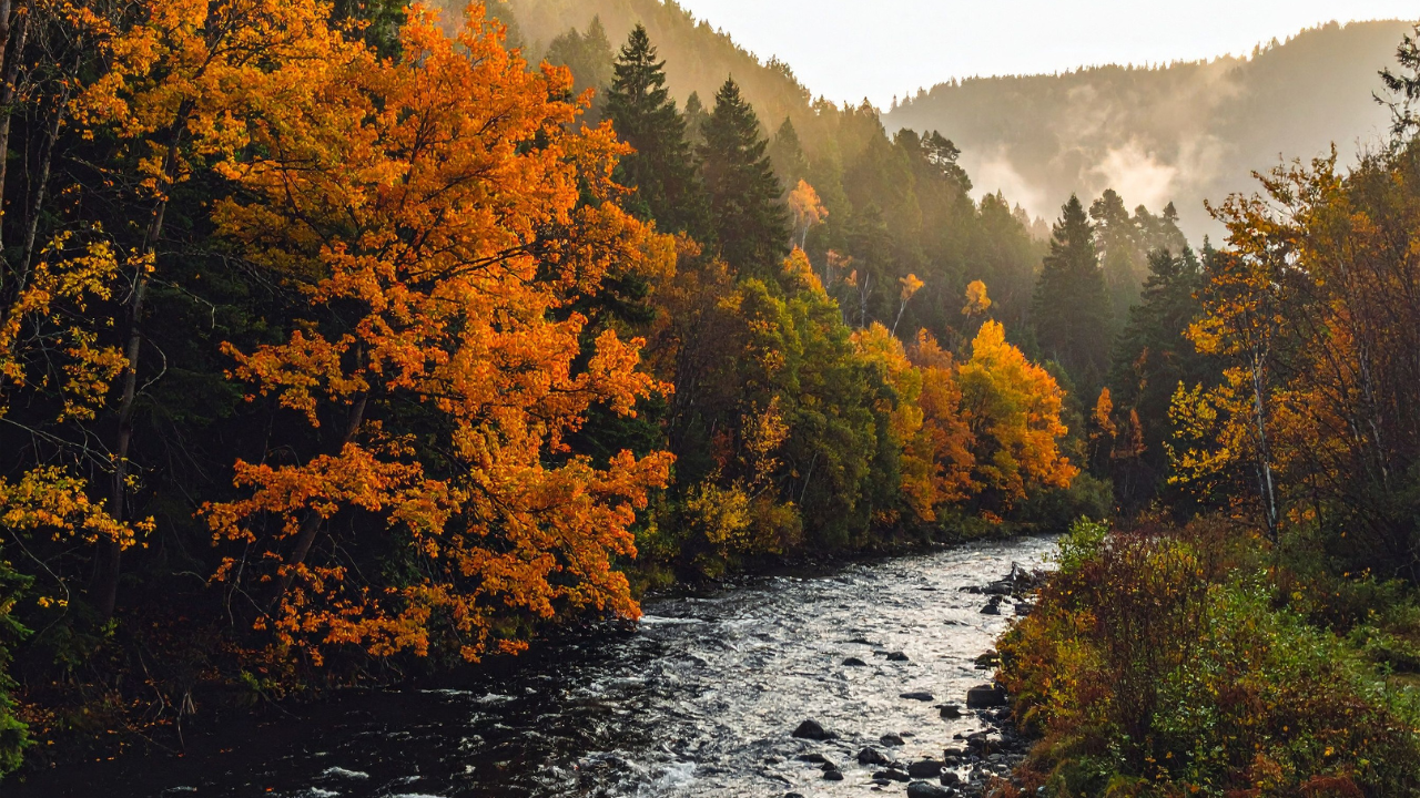 Atelier Gardienne des Eaux de la Terre – Session Automne 2025