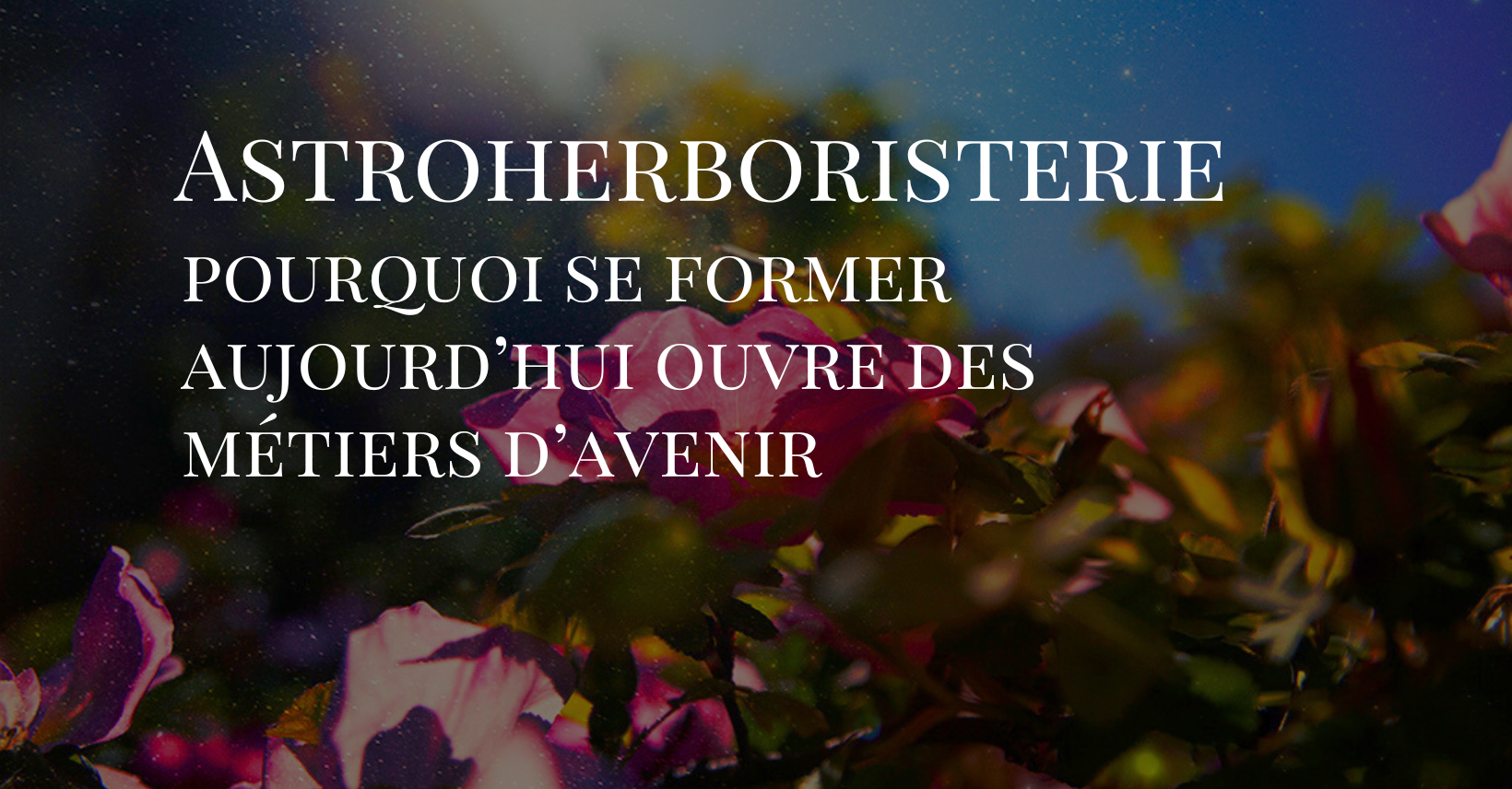 Astroherboristerie : pourquoi se former aujourd’hui ouvre des métiers d’avenir