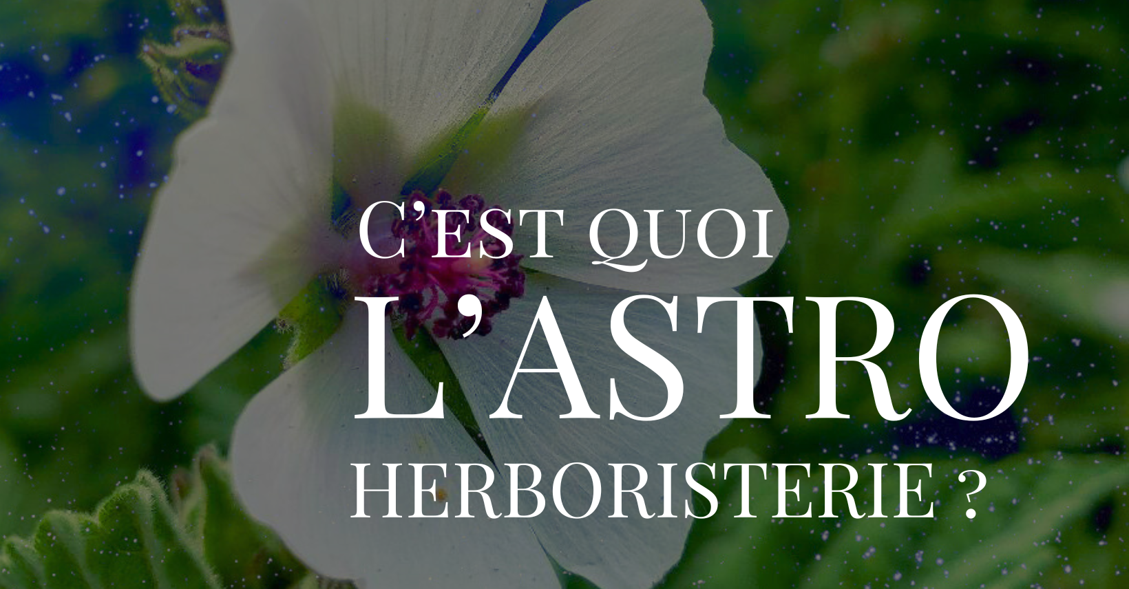 Qu’est-ce que l’Astro-Herboristerie ? 🌿✨